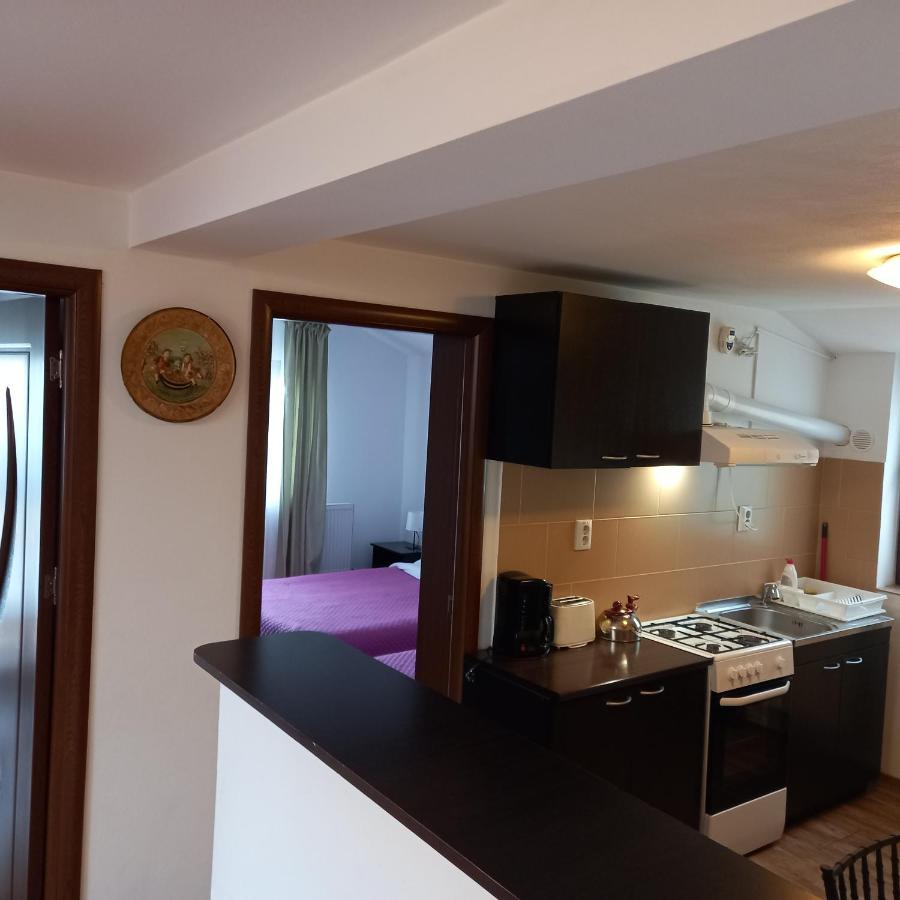 Charter Apartments Costea シビウ エクステリア 写真