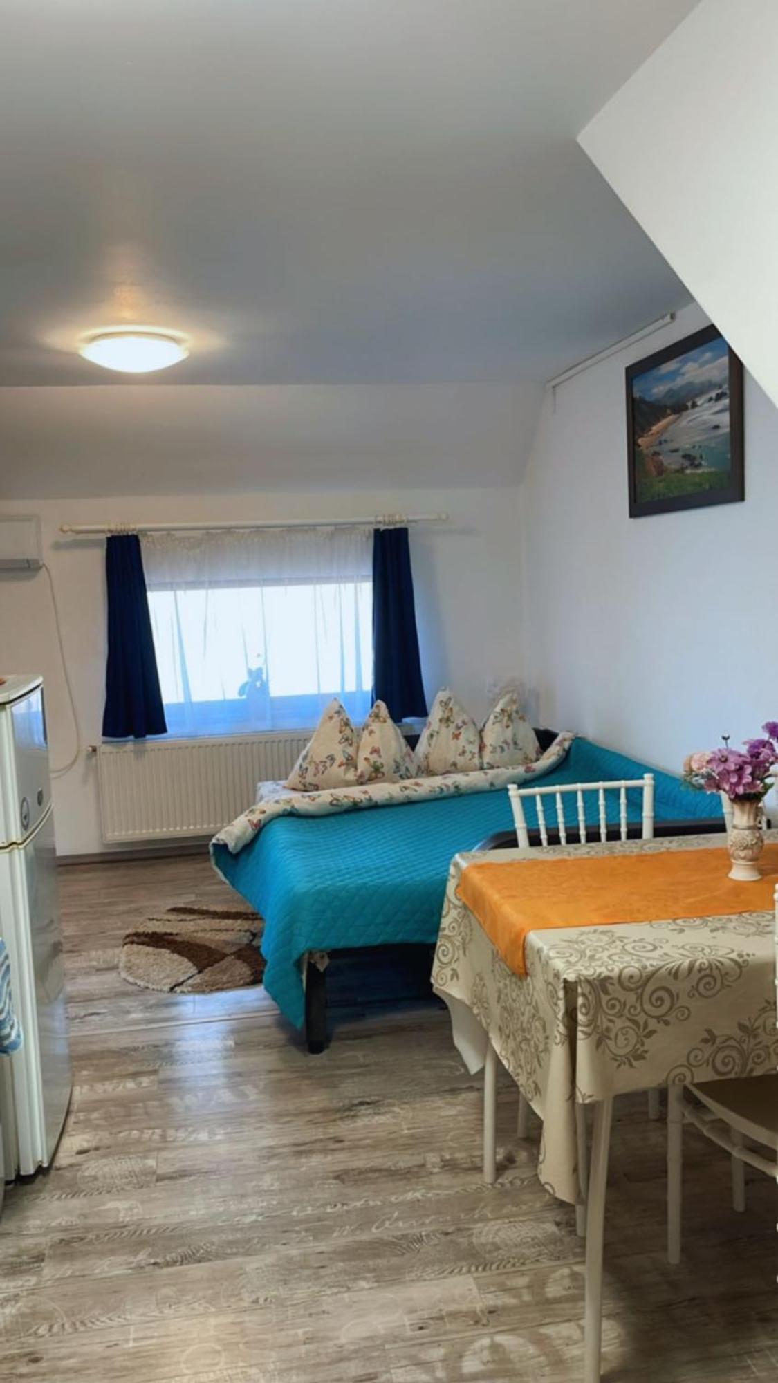 Charter Apartments Costea シビウ エクステリア 写真