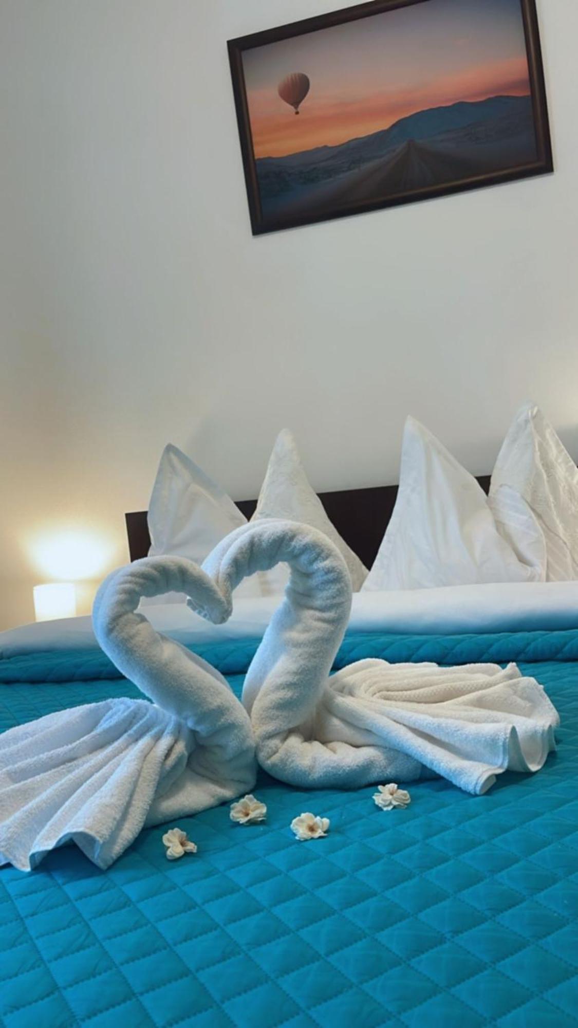 Charter Apartments Costea シビウ エクステリア 写真