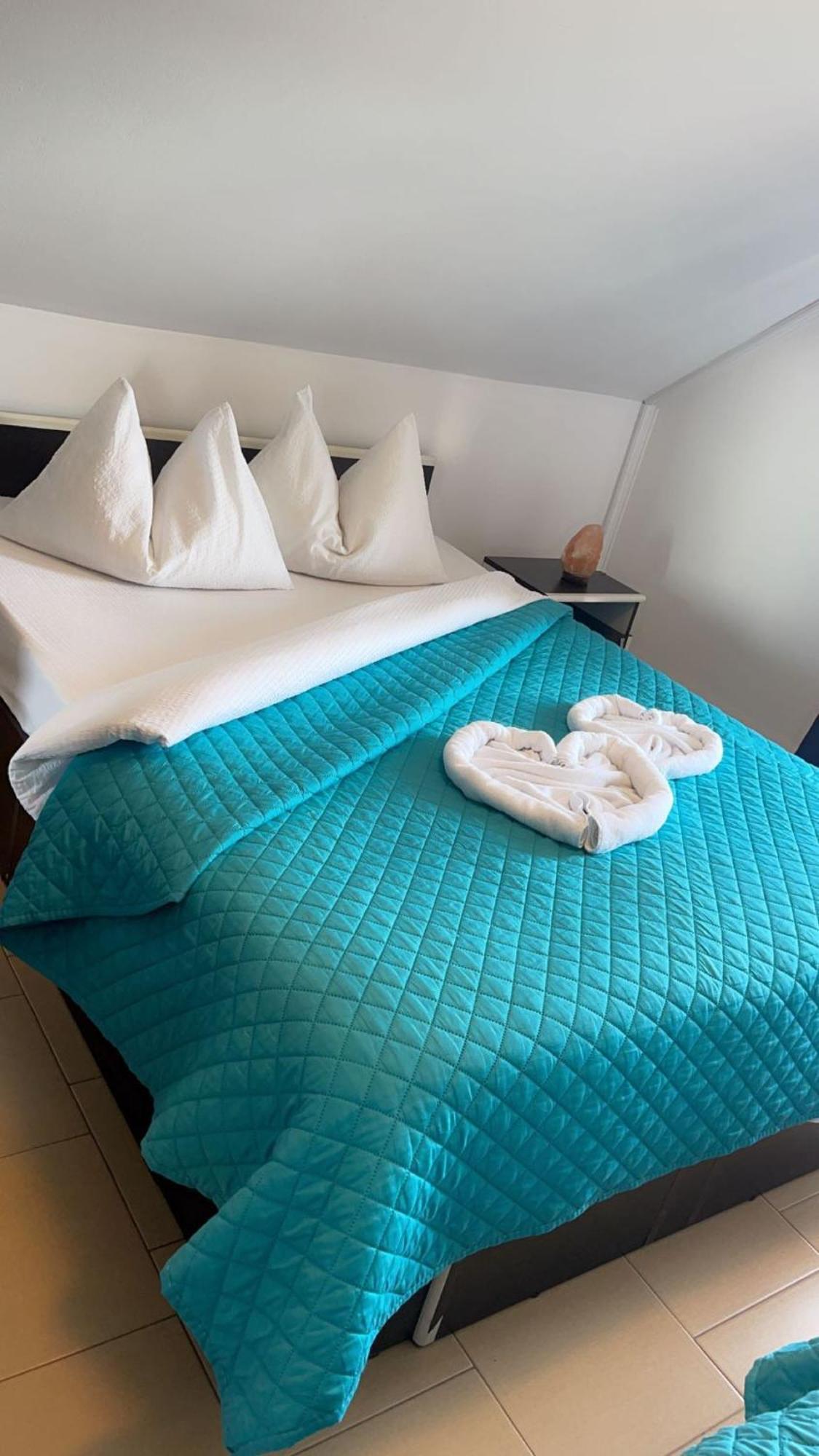 Charter Apartments Costea シビウ エクステリア 写真