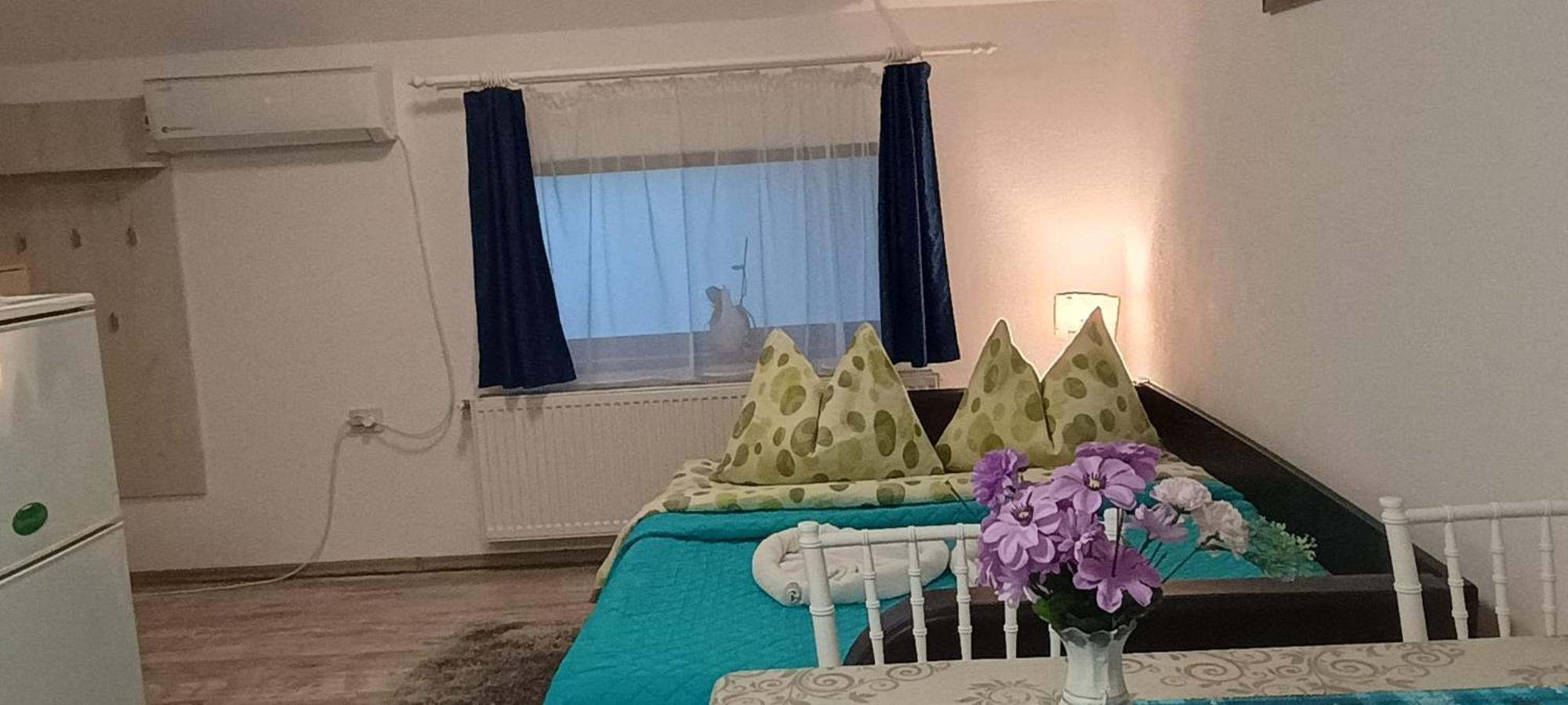Charter Apartments Costea シビウ エクステリア 写真